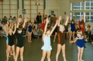 Sint 1980